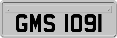 GMS1091