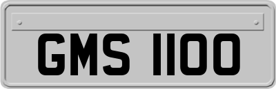 GMS1100