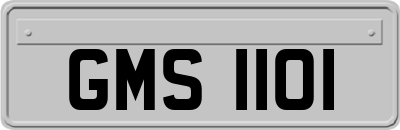 GMS1101