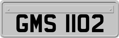 GMS1102