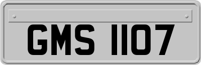 GMS1107