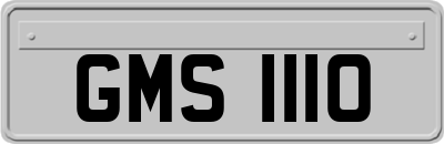GMS1110