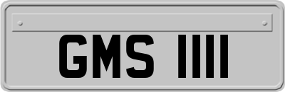 GMS1111