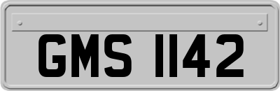 GMS1142