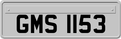 GMS1153