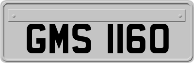 GMS1160