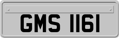 GMS1161