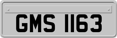 GMS1163