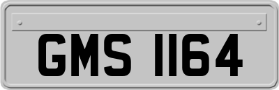 GMS1164