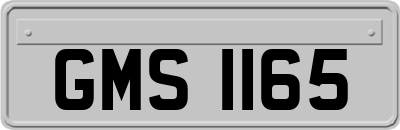GMS1165