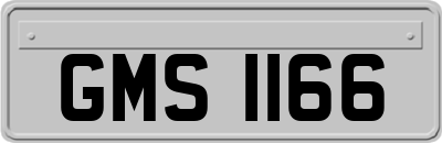 GMS1166