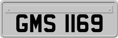 GMS1169