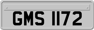 GMS1172