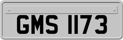 GMS1173
