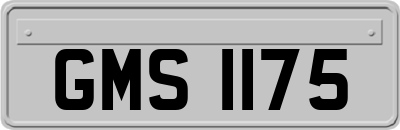 GMS1175
