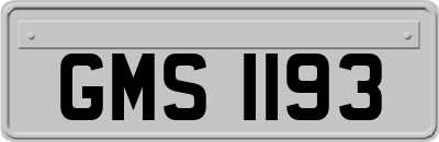 GMS1193