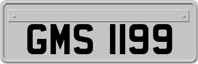 GMS1199