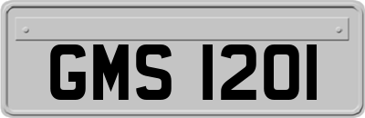 GMS1201