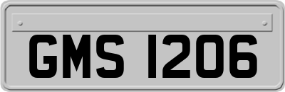 GMS1206