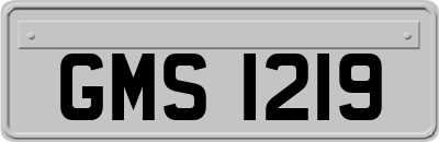 GMS1219
