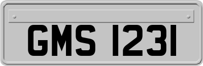 GMS1231