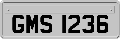 GMS1236
