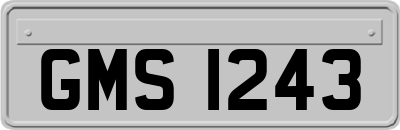GMS1243
