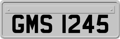 GMS1245
