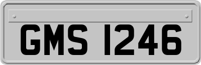 GMS1246