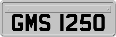 GMS1250