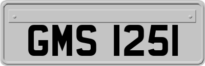 GMS1251