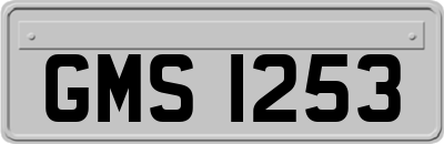 GMS1253