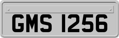 GMS1256
