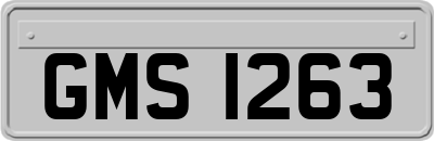 GMS1263