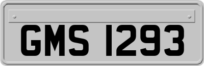 GMS1293