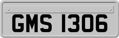 GMS1306