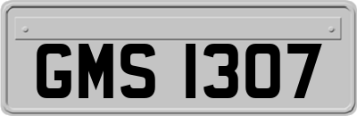 GMS1307