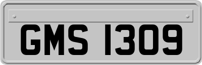 GMS1309