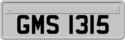 GMS1315