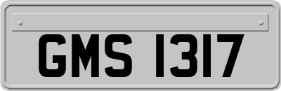 GMS1317