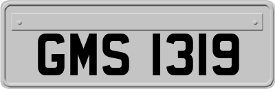 GMS1319