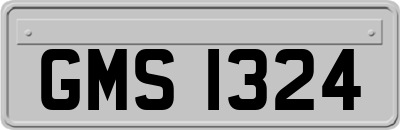 GMS1324