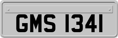 GMS1341