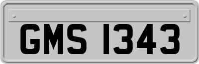 GMS1343