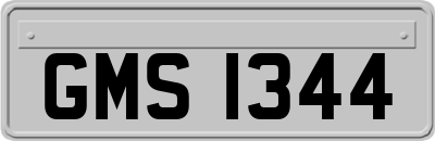 GMS1344