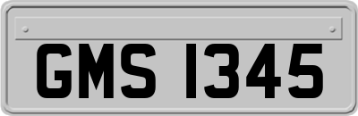GMS1345