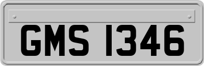 GMS1346