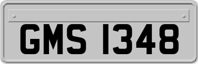 GMS1348