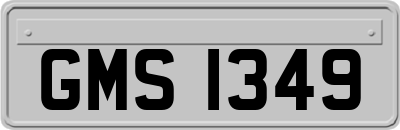 GMS1349