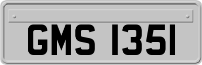 GMS1351